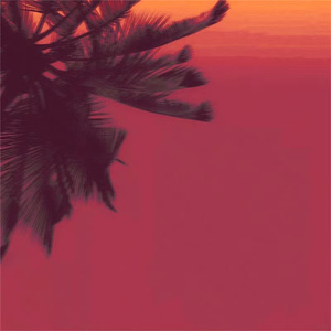 91视频网站首页
